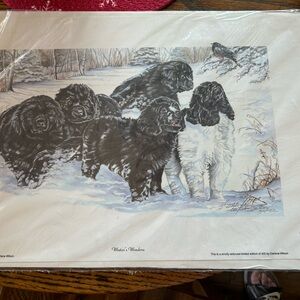 Winter's Wonders Art Print by Darlene Wilson